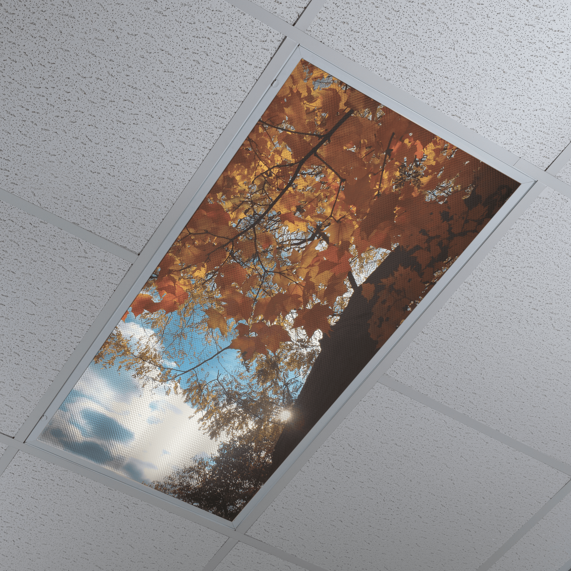 DesignScape - 2'x4' Orange Fall Tree - Apollo Design Made