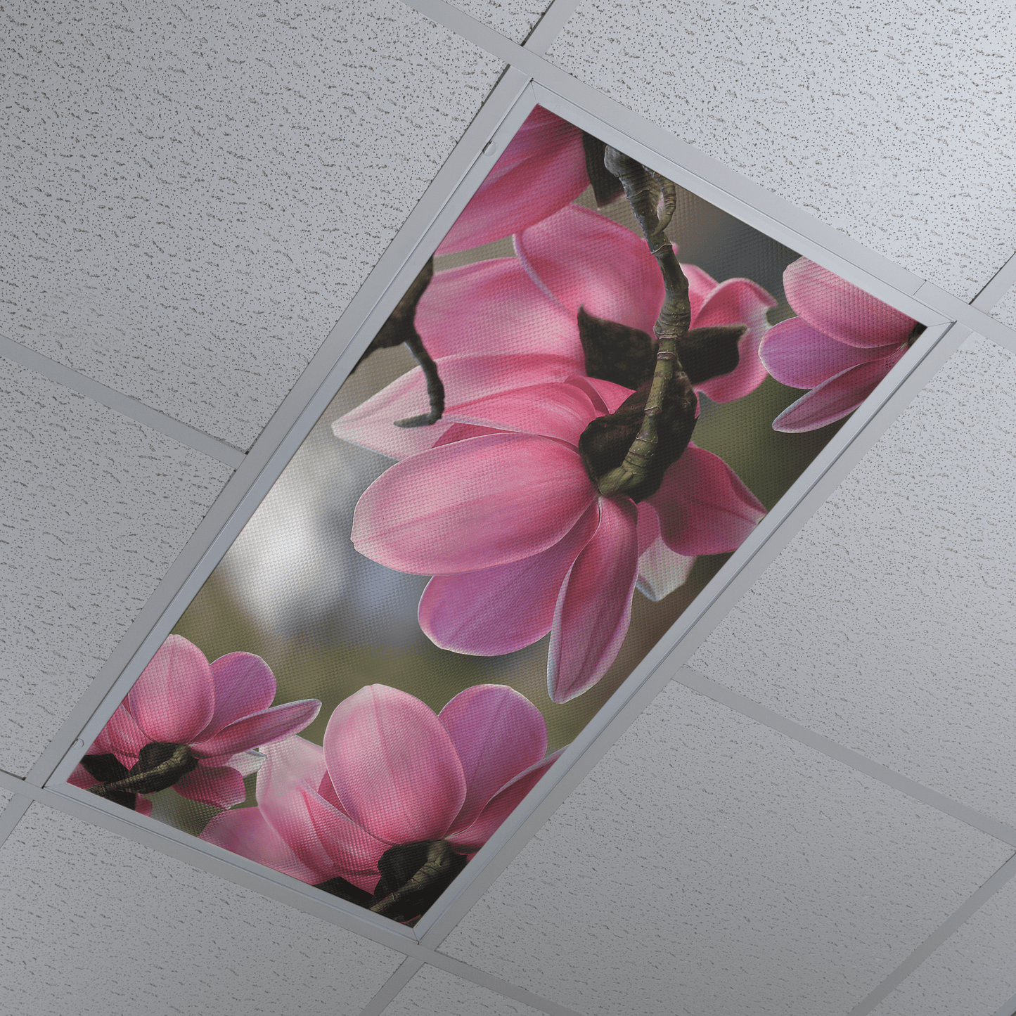 DesignScape - 2'x4' Pink Flower Upclose - Apollo Design Made