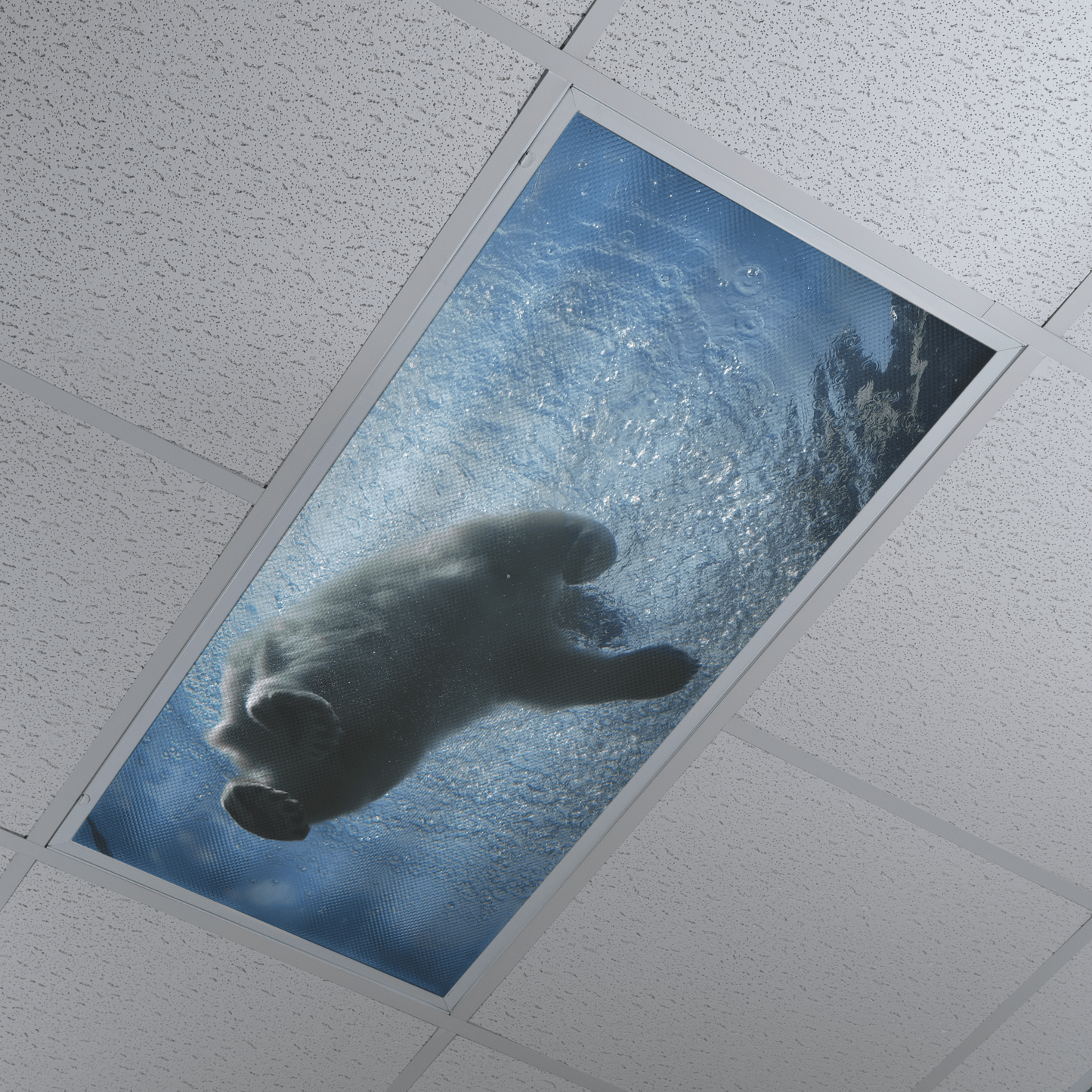 DesignScape - 2'x4' Polar Bear Dip - Apollo Design Made