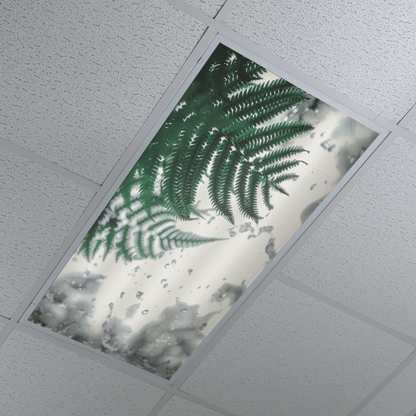DesignScape - 2'x4' Rain Forest - Apollo Design Made