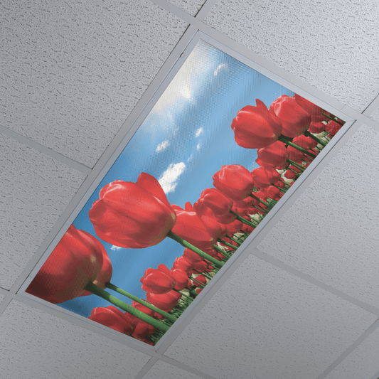 DesignScape - 2'x4' Red Tulips - Apollo Design Made