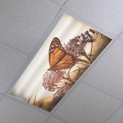 DesignScape - 2'x4' Serene Butterfly - Apollo Design Made