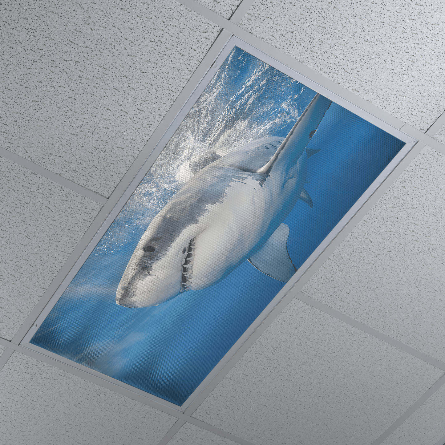 DesignScape - 2'x4' Shark Left - Apollo Design Made