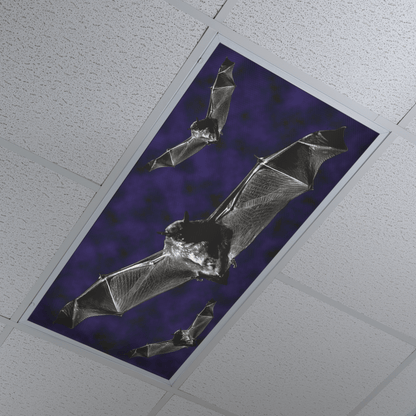 DesignScape - 2'x4' Three Bats - Apollo Design Made