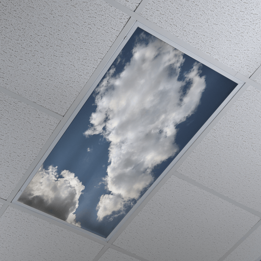 DesignScape - 2'x4' Translucent Clouds 1 - Apollo Design Made