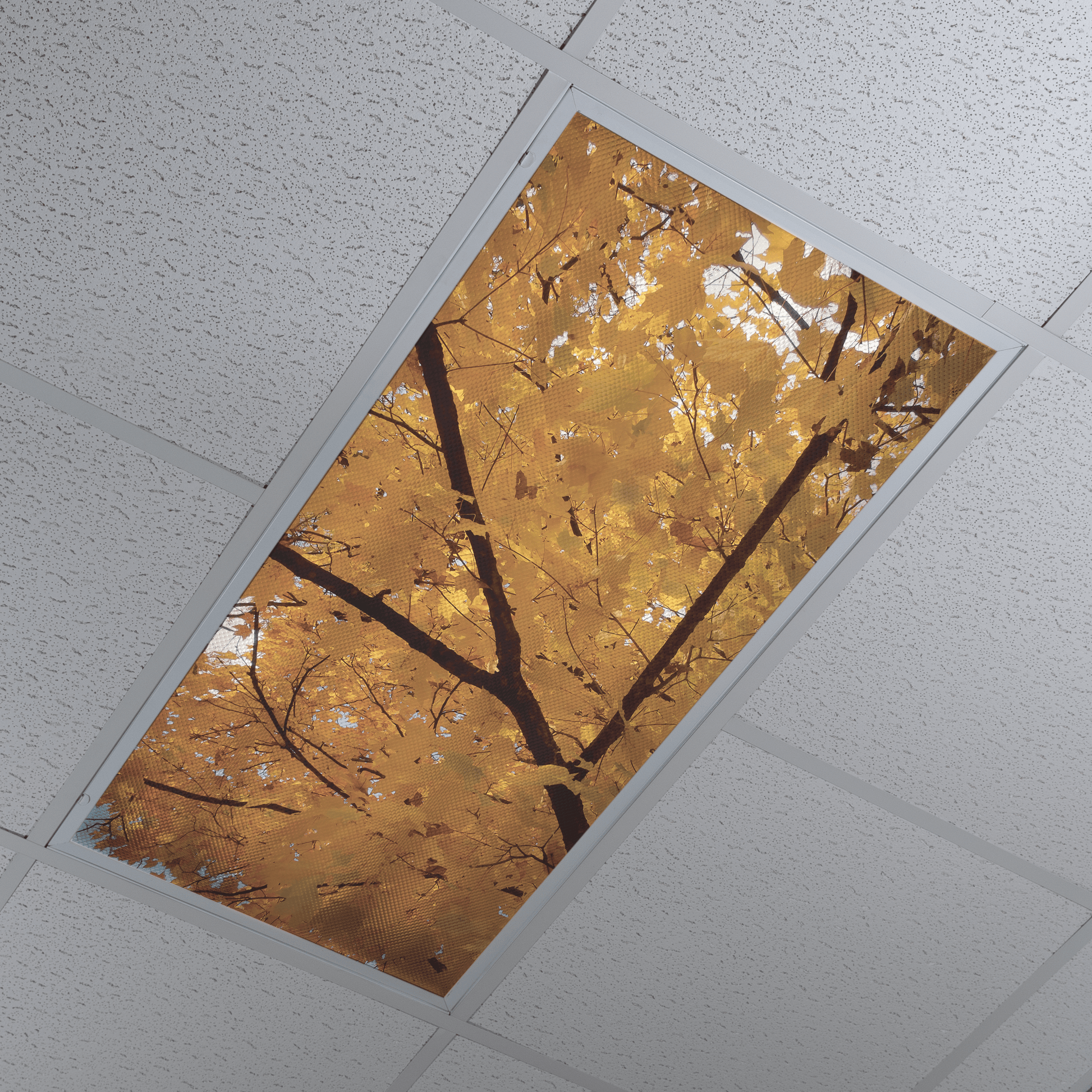 DesignScape - 2'x4' Yellow Fall Tree - Apollo Design Made